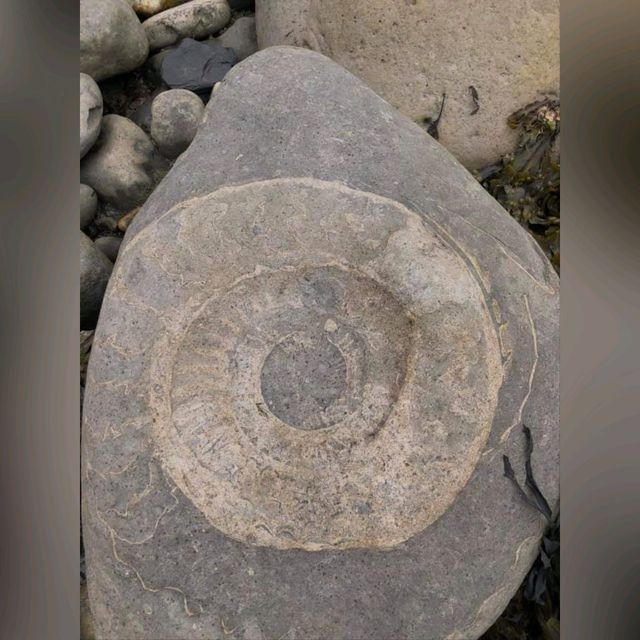 凡人去考古～英國南部Jurassic Coast