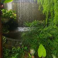 Secret Garden @ 1 Utama 🌵🌺
