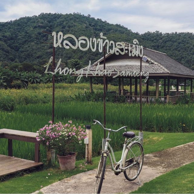 หลองข้าวสะเมิง บ้านพักบรรยากาศดี ในอ้อมกอดขุนเขา