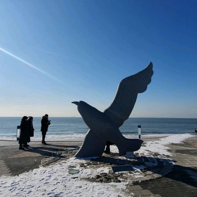 대천해수욕장에서 걸어서 10분이면 대천항 수산시장이다.