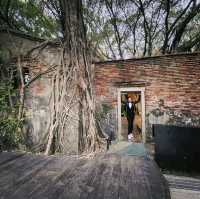 เที่ยวไถหนาน   Anping Tree House