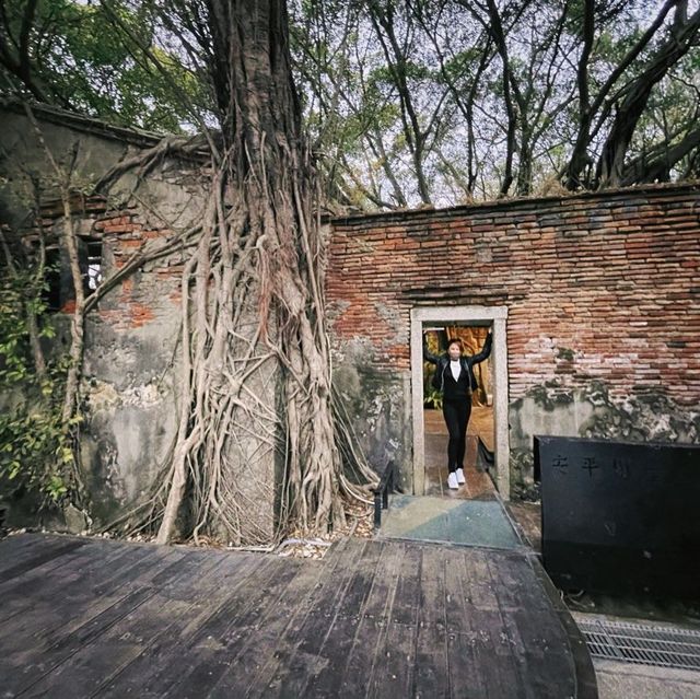 เที่ยวไถหนาน   Anping Tree House