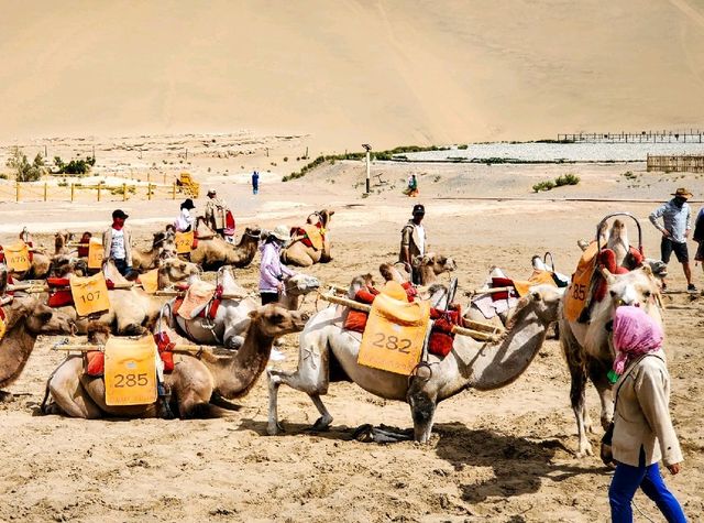 Dunhuang desert oasis adventure 