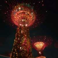 Garden by the bay at Night 