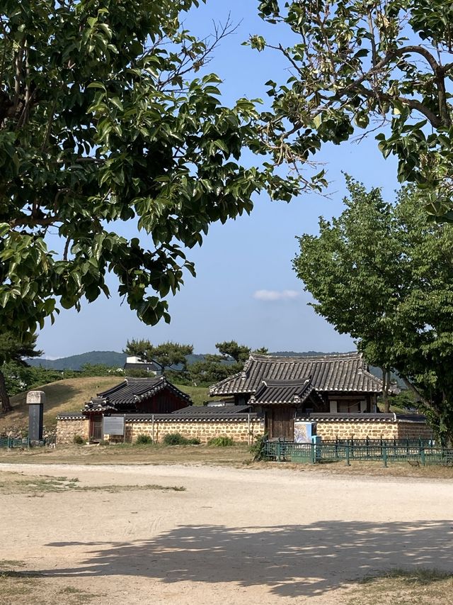 경주 꽃구경 가능한 여행지