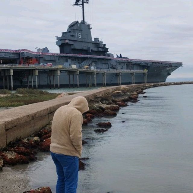 렉싱턴 in 코퍼스 크리스티
