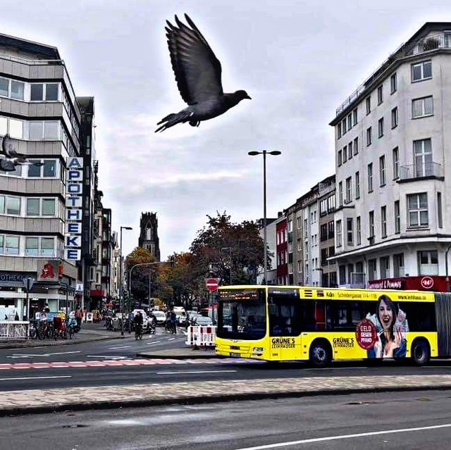 The other side of Cologne 