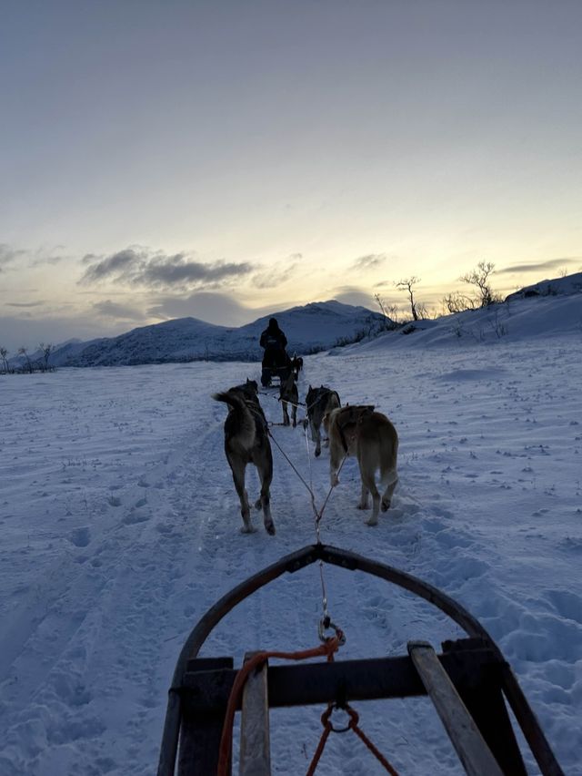 挪威🇳🇴特羅姆瑟雪橇之旅 人生必體驗