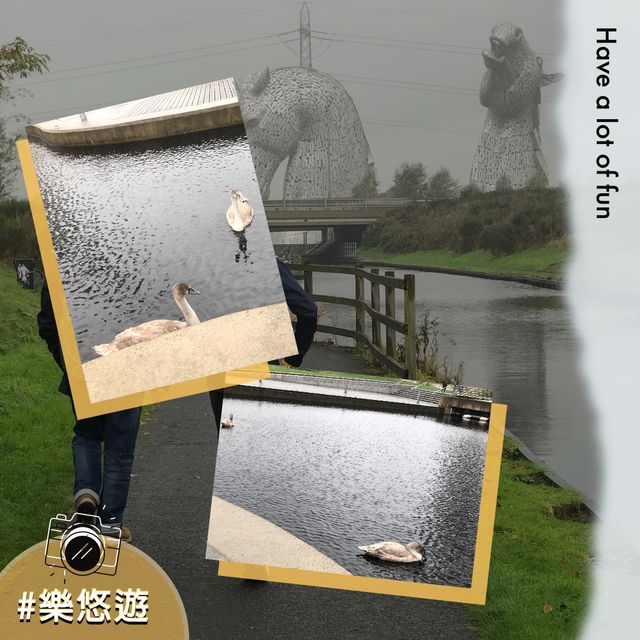樂悠遊世界之最——巨型馬雕塑🤩