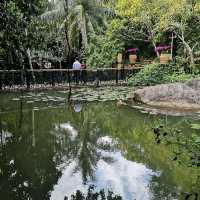 Orchids and Ostriches in Yalong Bay