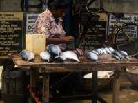 Negombo Beachlife - Sri Lanka 