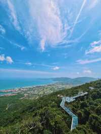 Glass Bridges with Epic Views 🌴🌊⛵️