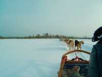 Husky-Sledding in Rovaniemi, Finland🇫🇮✈️❄️