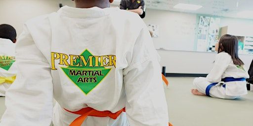 Spar Wars | Premier Martial Arts of West Katy/Fulshear