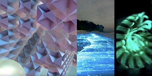 VIZBI Showcase: Inner Space VR Experience and Light On Earth Film Screening | USC Michelson Center for Convergent Bioscience (MCB), Childs Way, Los Angeles, CA, USA