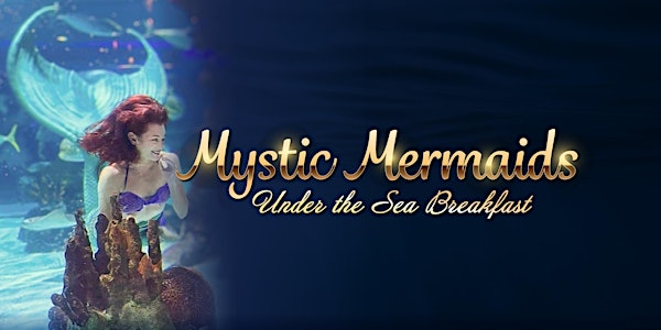 Aquarium Nashville - Mystic Mermaids Under the Sea Breakfast | Aquarium