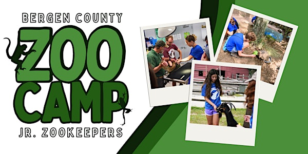 Jr. Zookeepers (13-17yo) July 28 - August 1 | Bergen County Zoo