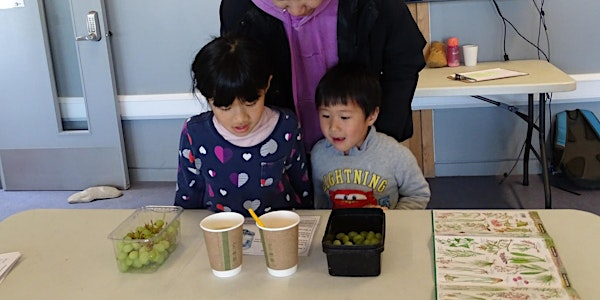 Naze Seashore Science Lab | Naze Nature Discovery Centre