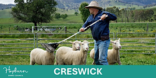 Working Dog Training School (Creswick) | Creswick