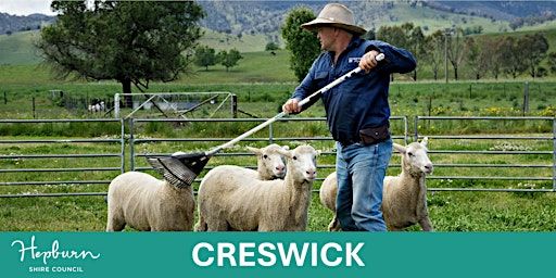 Working Dog Training School (Creswick) | Creswick