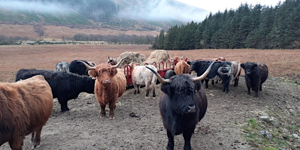 HIVSS Conference | Kingsmills Hotel