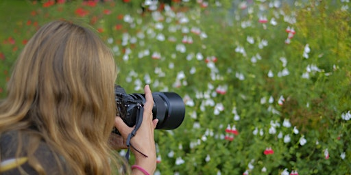 Beginner's Photography Workshop | The Forum