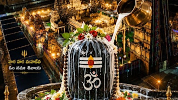 Daily Rudrabhishekam & Annadanam Seva at Sri Punyalingeswara Swamy Temple | Daily Rudrabhishekam & Annadanam