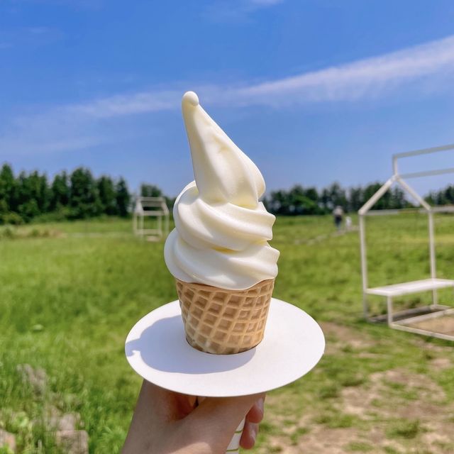 목장에서 아이스크림을🍦