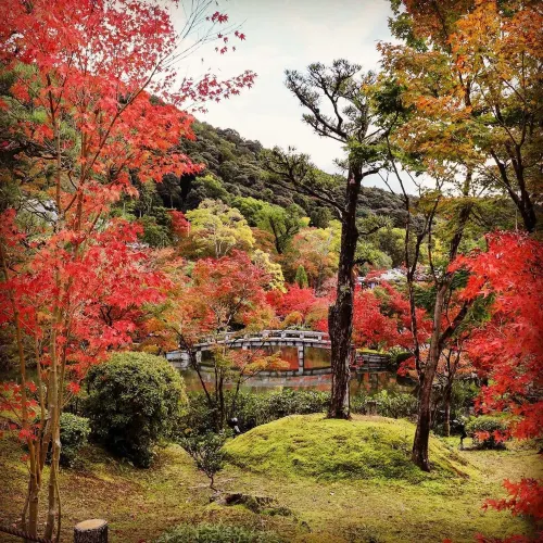 京都 紅葉巡り
