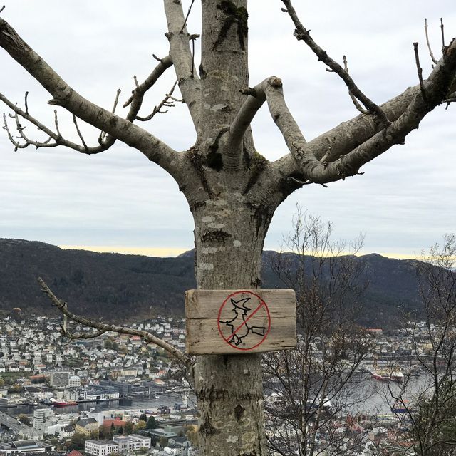 Exploring Bergen, Norway- heart of the fjords