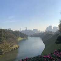 【千代田区】千鳥ヶ淵公園