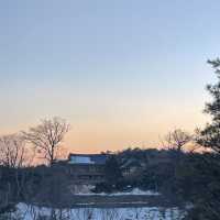 산과 바다뷰를 모두 갖춘 절, 낙산사에서 힐링하기