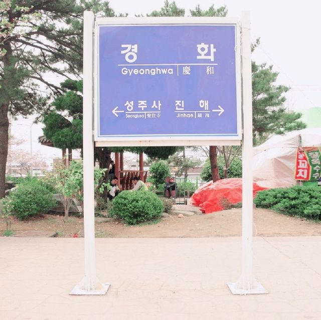 진해군항제 다음 달에 볼 수 있는 모습