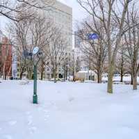 冬の札幌大通り公園の雪道散策