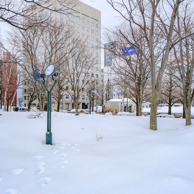 冬の札幌大通り公園の雪道散策