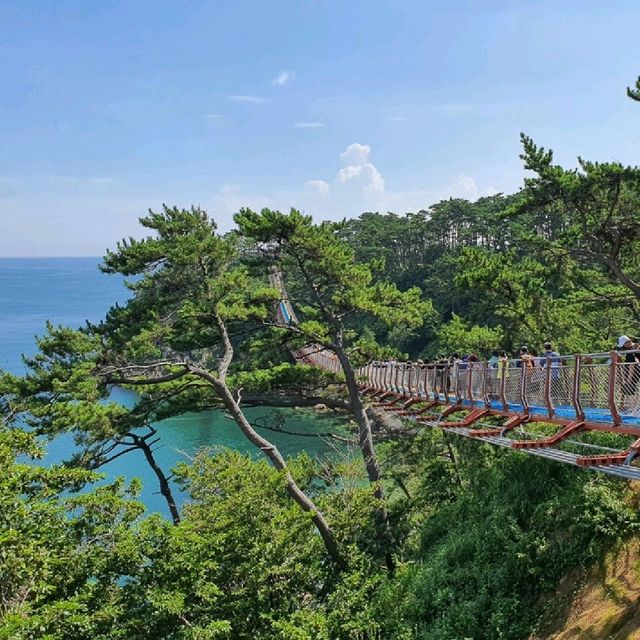 신상 여행명소 <울산 대왕암 흔들다리>