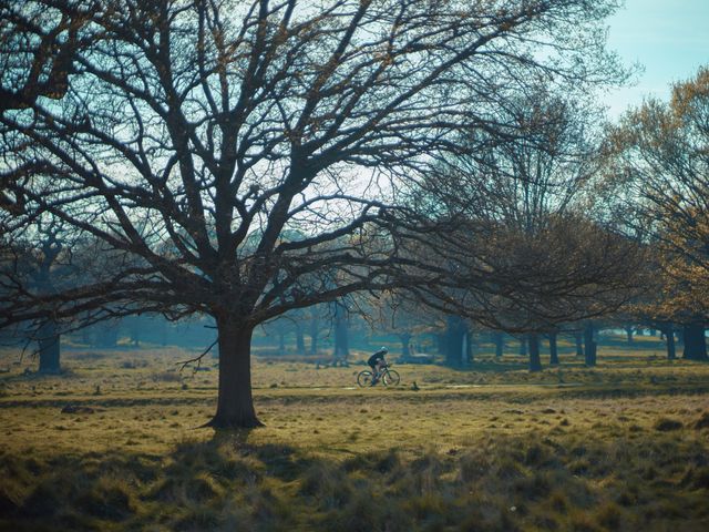 英國 Richmond Park 