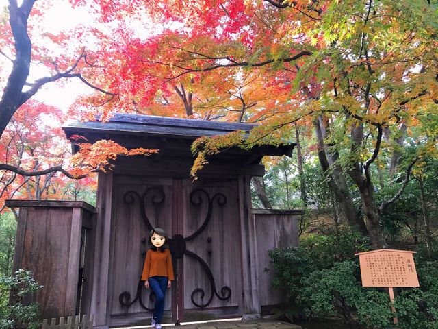 從MOA美術館看紅葉