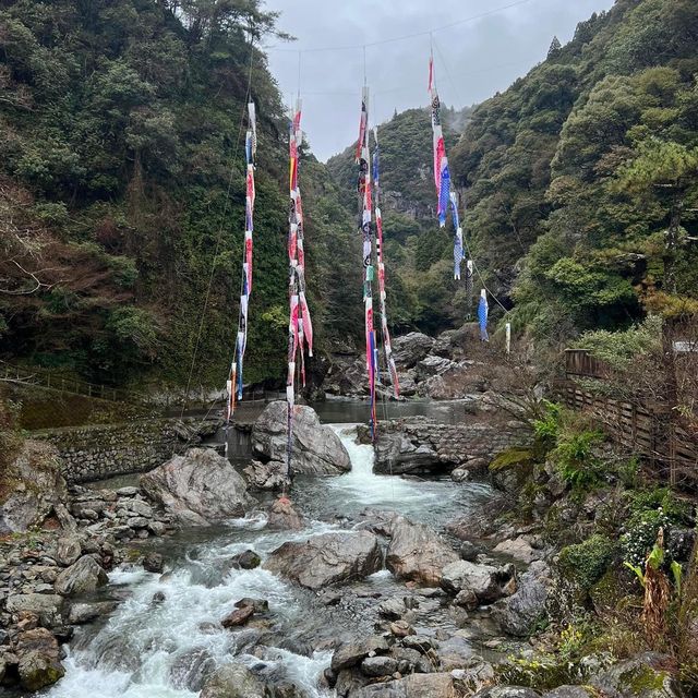 壯觀無比的中津溪谷🤩🤩｜日本高知縣