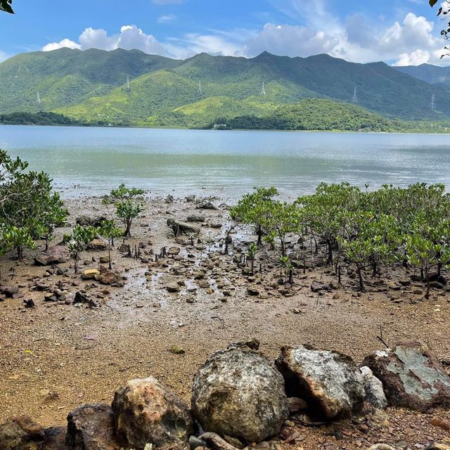鹿頸行山之旅😳遠望對岸清新之選 鹿頸行山之旅😳遠望對岸清新之選