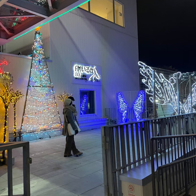クリスマスツリー グリーン 雪 ケンブリッジ クリスマスツリー グリーン 雪 ケンブリッジ