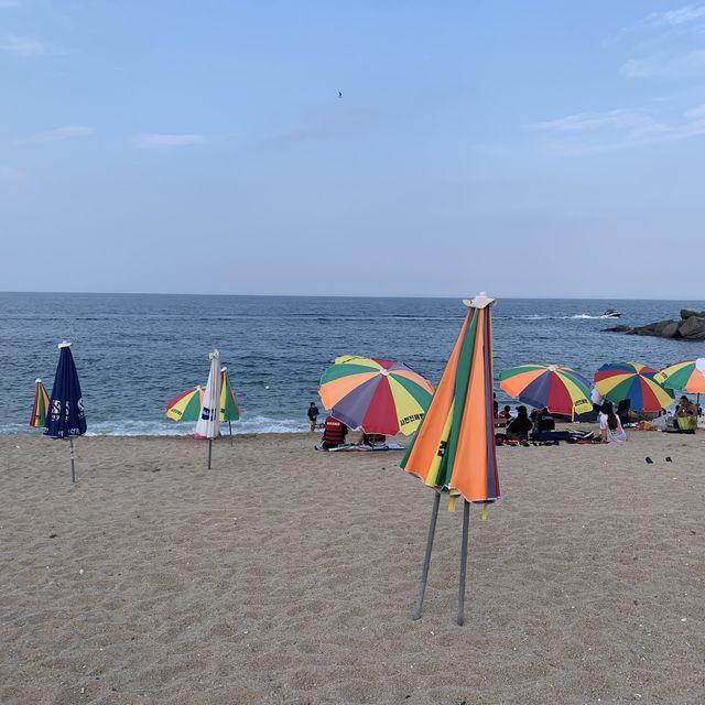 느슨해진 여름에 행복감을 주는 강릉🏖