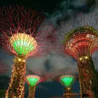 Garden Rhapsody Show at Supertree Observatory