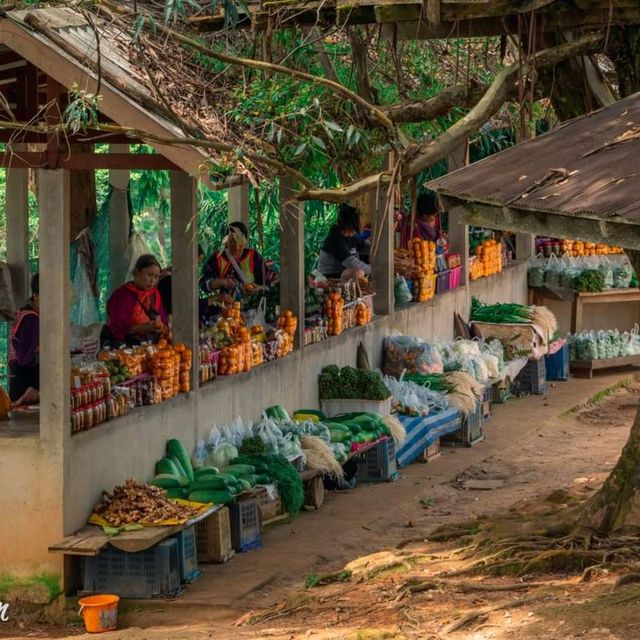 เลาวู เวียงแหง เชียงใหม่ ที่ของคนรักเขา