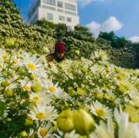 Flower Valley Tay Ho