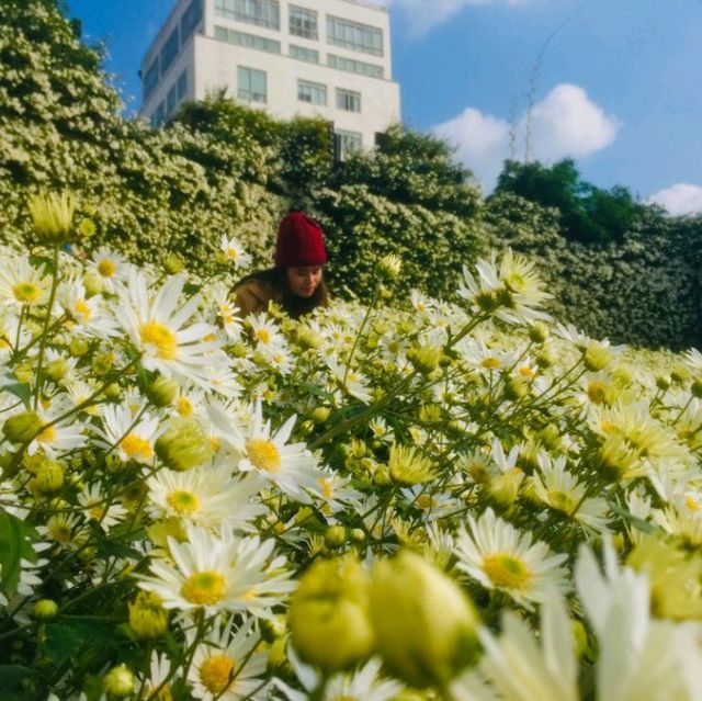 Flower Valley Tay Ho