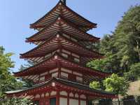 🇯🇵名信片上的風景 — 在新倉山浅間公園看紅塔富士山美景