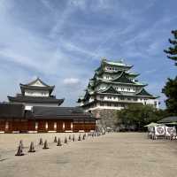 【愛知】名古屋といえばの金の鯱(天守閣)