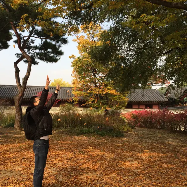 Lost in the beautiful shade of fall foliage 