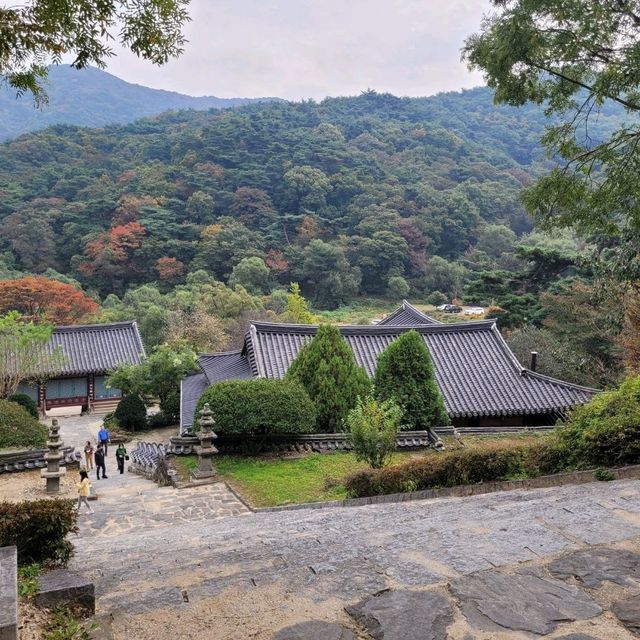안성 석남사에 서운산 단풍이 찾아왔어요